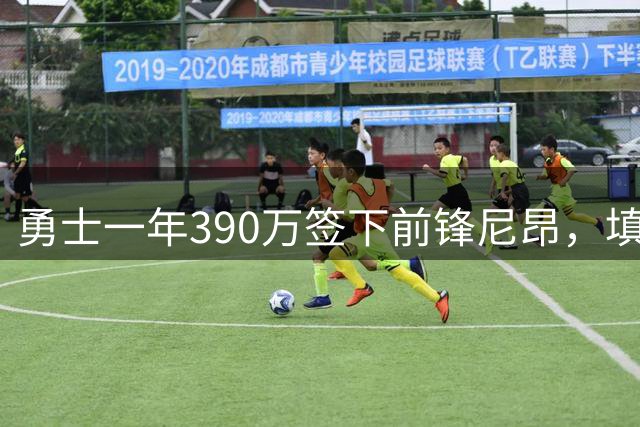 勇士一年390万签下前锋尼昂，填补大名单最后一席