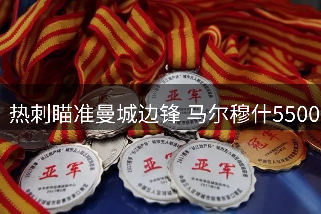 热刺瞄准曼城边锋 马尔穆什5500万镑转会谈判中